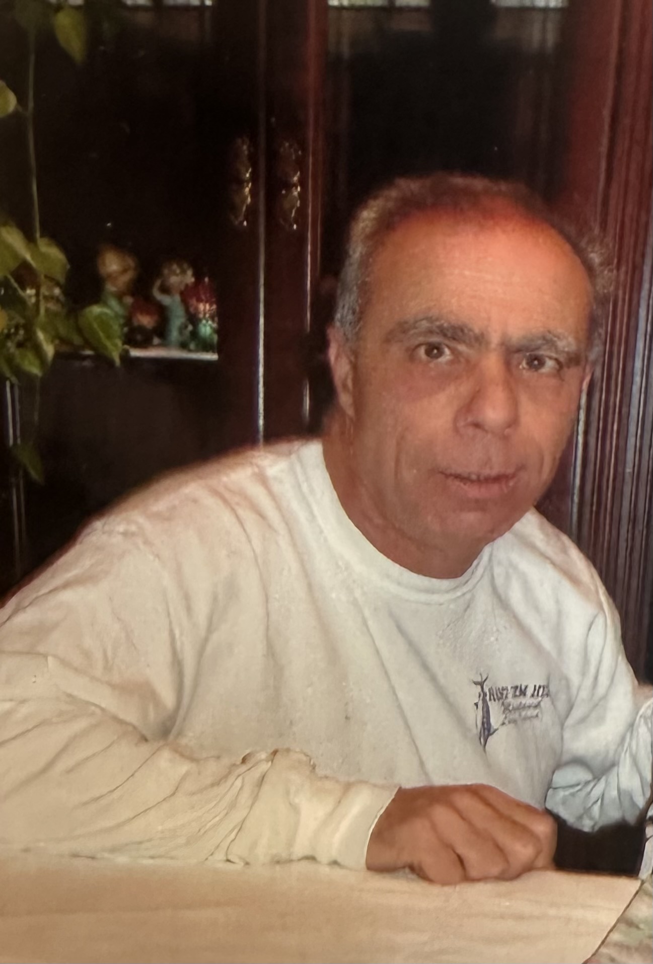 robert oliviero