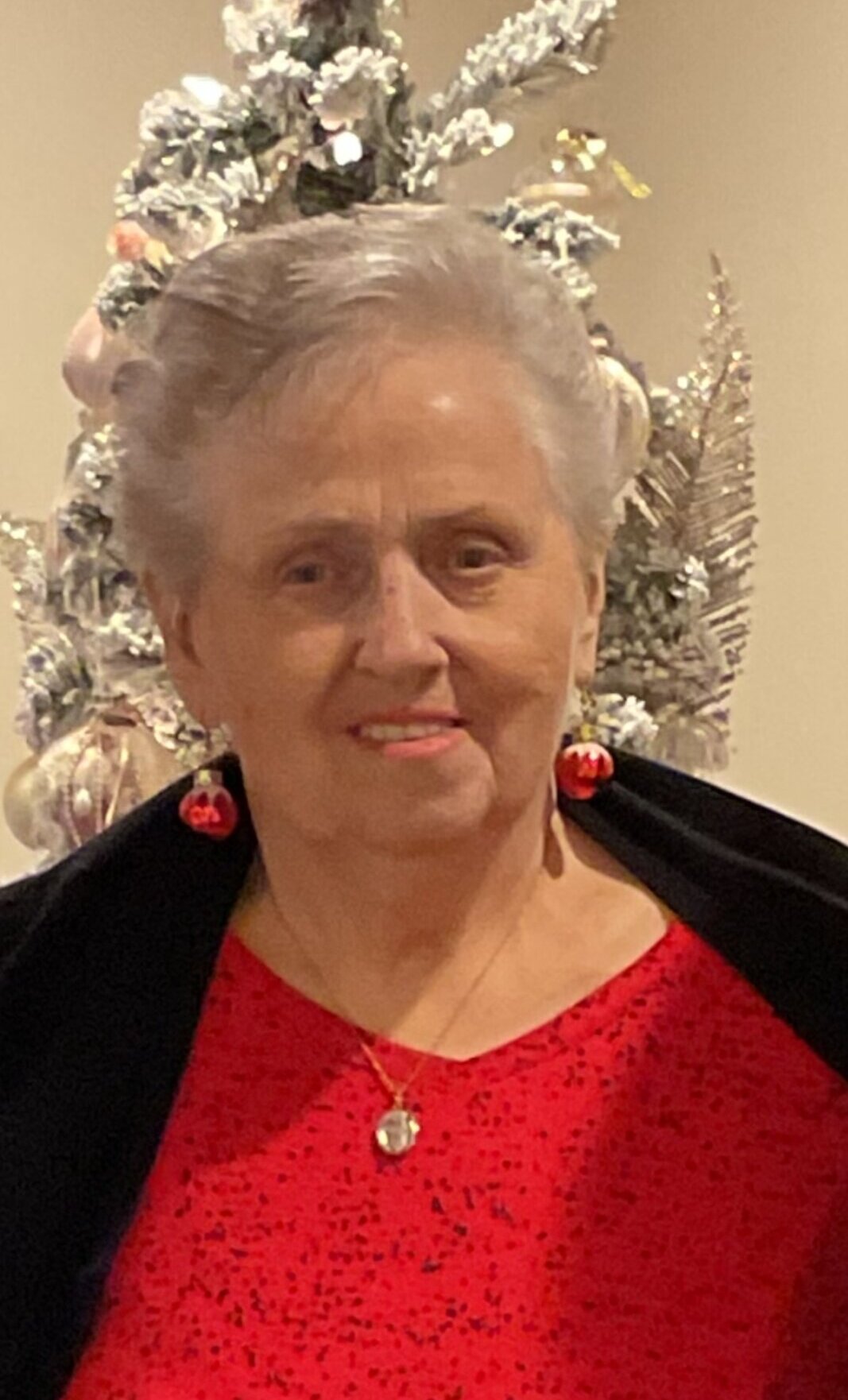 arlene rokosz